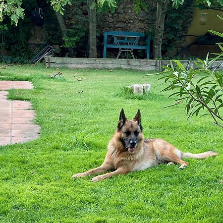 Santa Caterina - Dog Friendly With Garden Villa Sobrestany Kültér fotó
