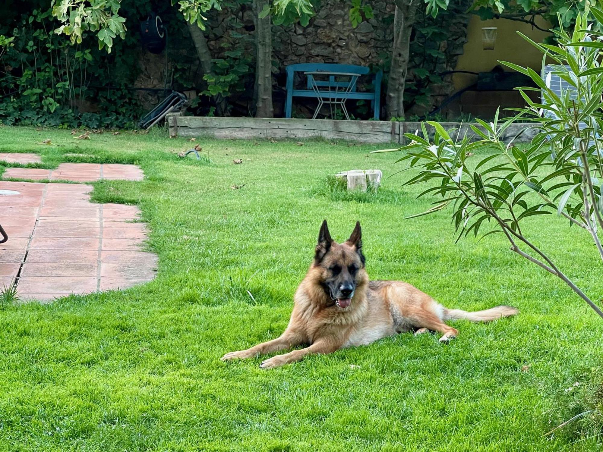 Santa Caterina - Dog Friendly With Garden Villa Sobrestany Kültér fotó